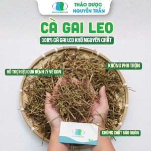 Cà Gai Leo