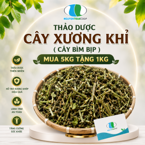 Combo Cây Xương Khỉ mua 5 kg tặng 1 kg Freeship