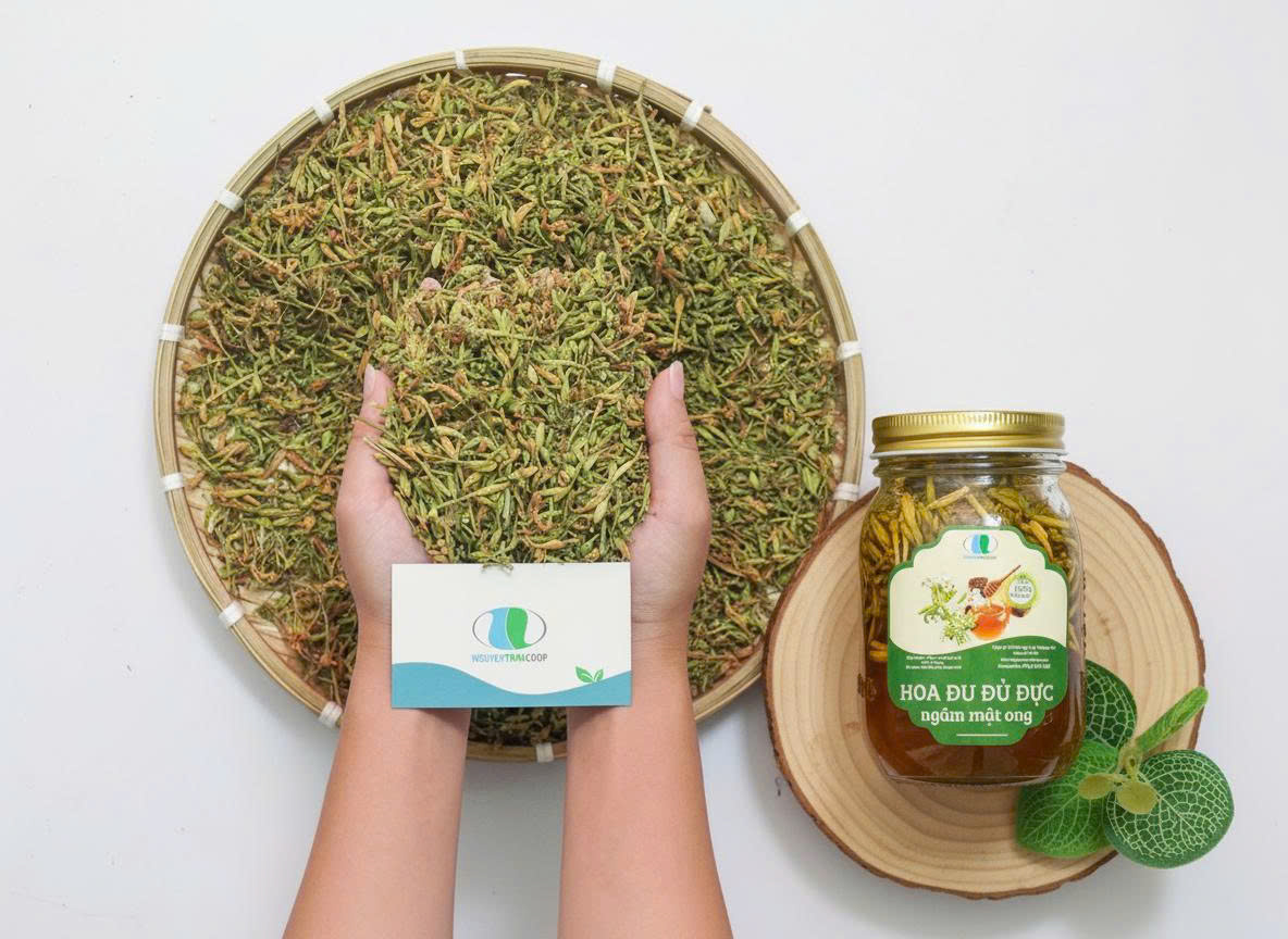 hoa du du duc nt (2)