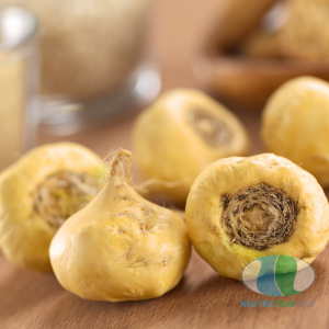 sam maca peru