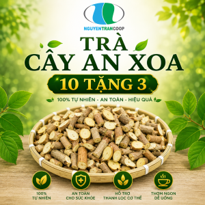 Liệu trình10kg: Cây An Xoa Mua 10kg Tặng 3kg