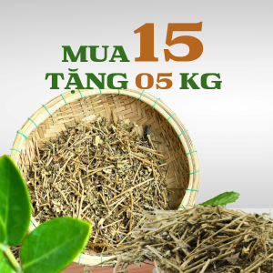 Liệu trình 15kg: Cà Gai Leo Mua 15KG tặng 5KG ( FREESHIP )