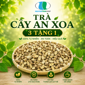 Liệu trình 3kg: Cây An Xoa Tặng 0.5kg