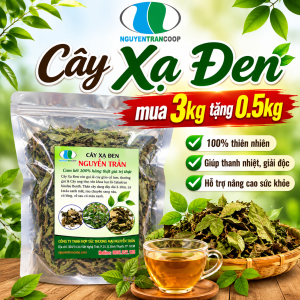 Combo Cây Xạ Đen mua 3 tặng 0.5kg