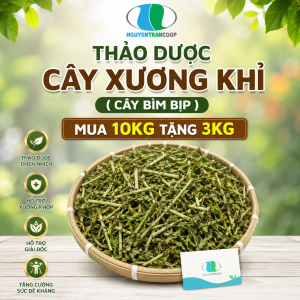 Combo Cây Xương Khỉ mua10kg tặng 3kg Freeship