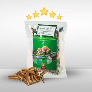(Túi 250g) Nấm Lim Xanh Rừng Quảng Nam {LiNaSa}