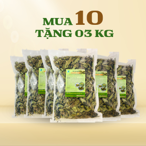 Liệu trình 10kg: Cây Xạ Đen Mua 10 kg tặng 3 kg - Freeship