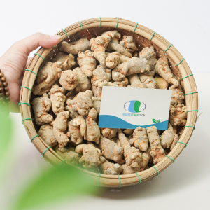 Tam Thất Bắc Loại 80-85 Củ 1 KG