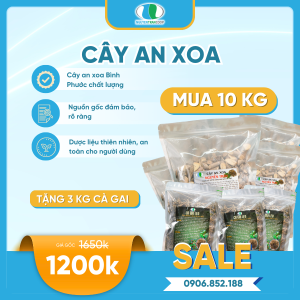 Liệu trình 10kg: Cây An Xoa + Tặng 3kg Cà Gai Leo