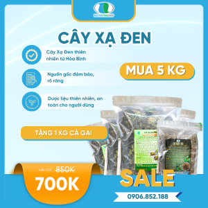 Liệu trình: 5kg Trà Cây Xạ Đen + Tặng 1kg Cà Gai Leo
