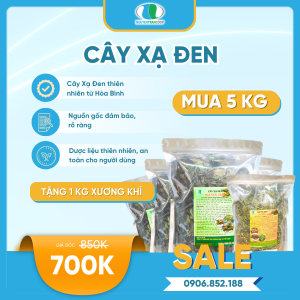 Liệu trình 5kg: Trà Cây Xạ Đen + Tặng 1kg Cây Xương Khỉ
