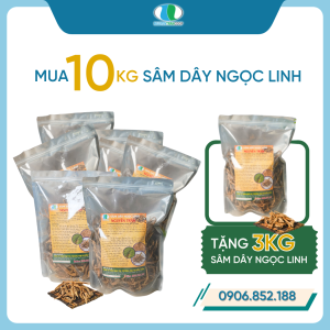 (10kg) Sâm Dây Ngọc Linh Khô ( Đẳng Sâm ) [ Mua 10kg Tặng 3kg ]