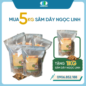 (5kg) Sâm Dây Ngọc Linh Khô ( Đẳng Sâm )  [ Mua 5kg Tặng 1kg ]