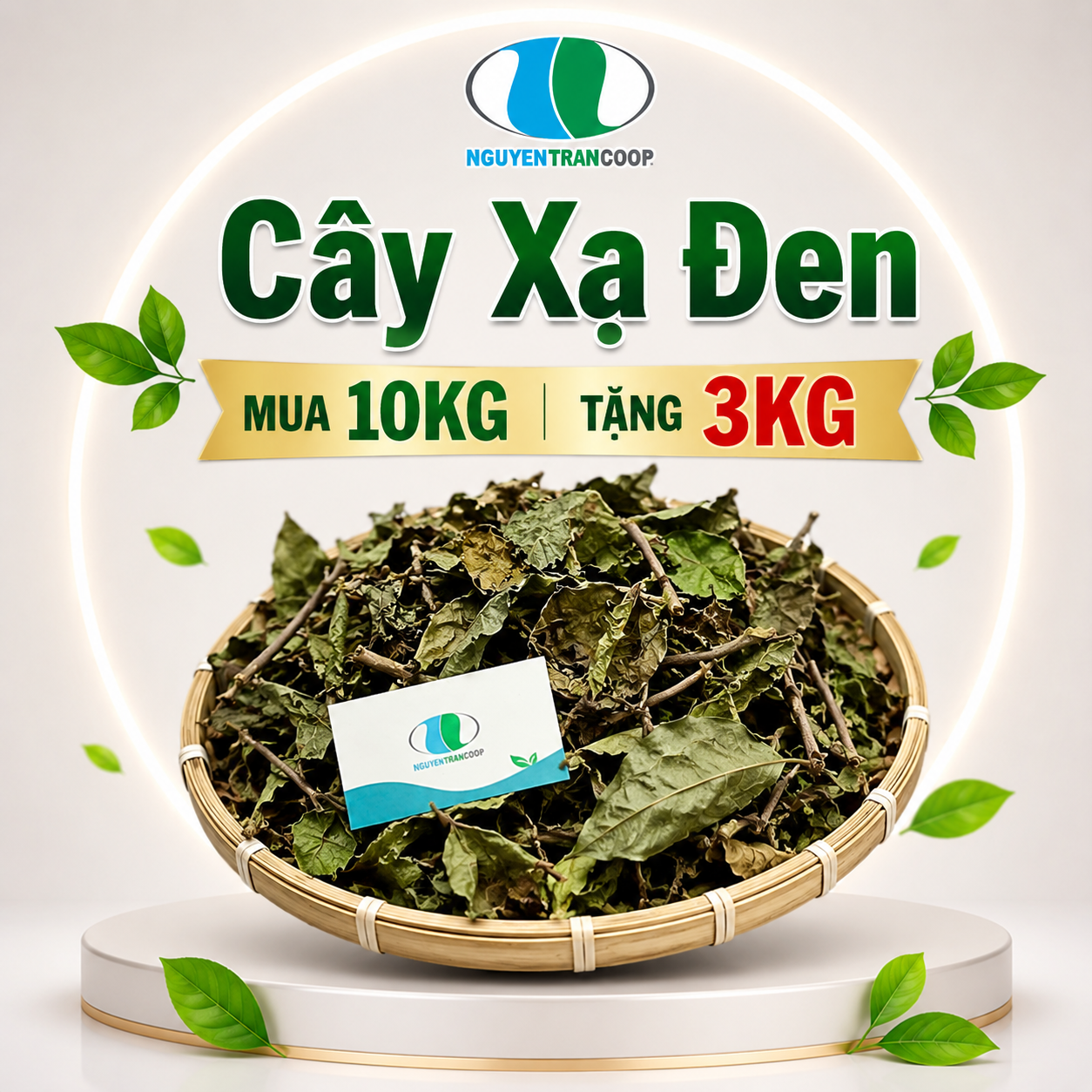 cay xa den 10 tang 3