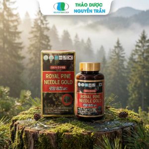 Tinh Dầu Thông Đỏ Royal Pine Needle Gold ( Hộp 100 viên ) Nội địa Hàn Quốc
