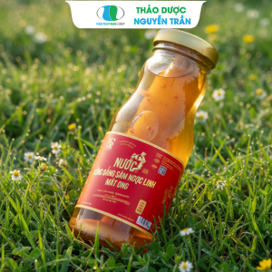 Nước Sâm Dây Ngọc Linh ( Hồng Đẳng Sâm Mật Ong - Có Củ ) 6 chai x 180ml